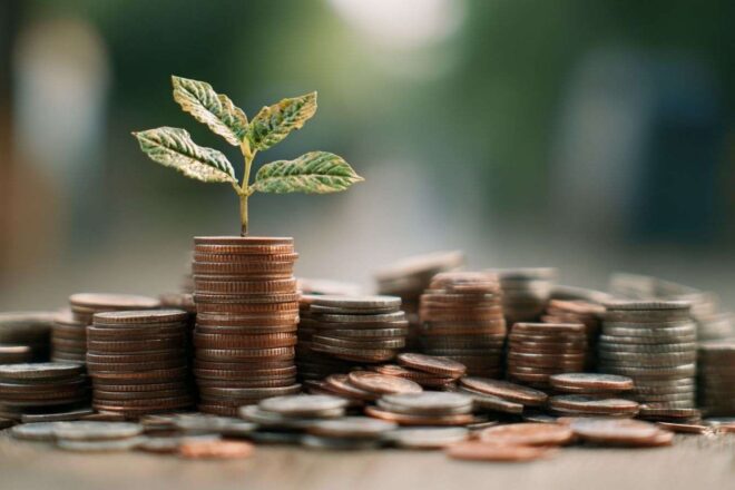Croissance financière avec une plante